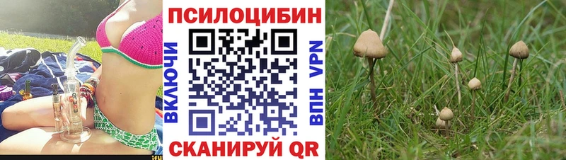 Псилоцибиновые грибы ЛСД  купить   Никольское 